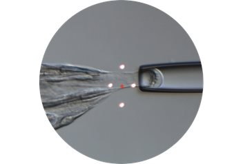 Octax Laser & imaging systems - Vitrolife
